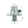 Thermostat d'eau MAHLE