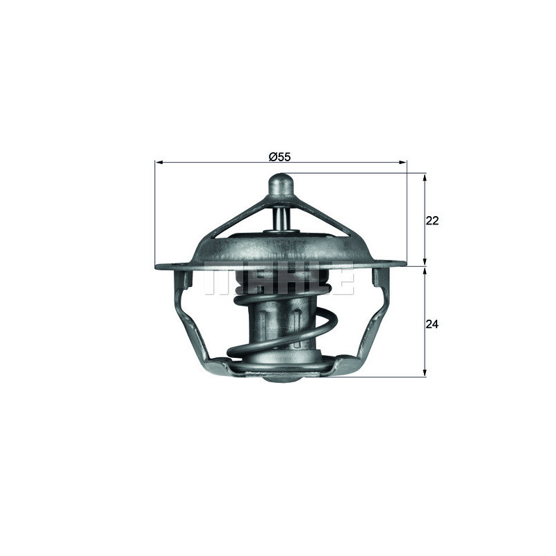 Thermostat d'eau MAHLE