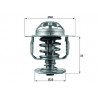 Thermostat d'eau MAHLE