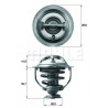 Thermostat d'eau MAHLE