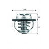 Thermostat d'eau MAHLE