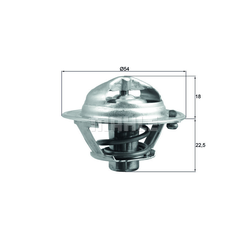 Thermostat d'eau MAHLE