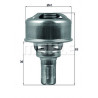 Thermostat d'eau MAHLE