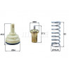 Thermostat d'eau MAHLE