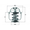 Thermostat d'eau MAHLE
