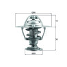 Thermostat d'eau MAHLE