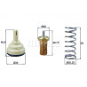 Thermostat d'eau MAHLE