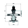 Thermostat d'eau MAHLE