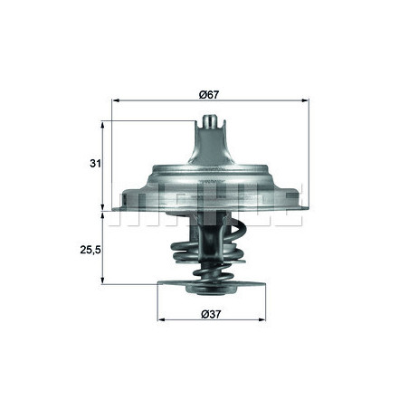 Thermostat d'eau MAHLE