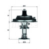 Thermostat d'eau MAHLE
