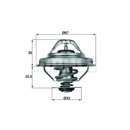 Thermostat d'eau MAHLE