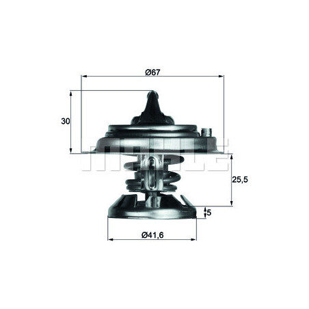 Thermostat d'eau MAHLE