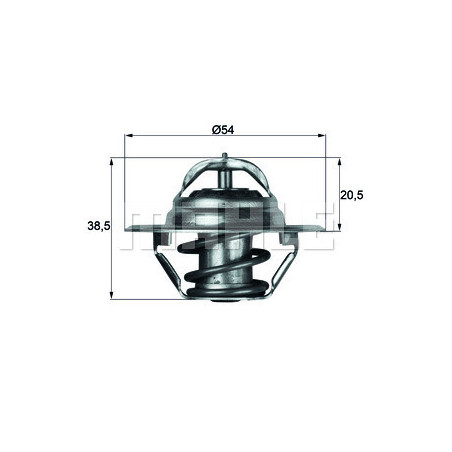 Thermostat d'eau MAHLE
