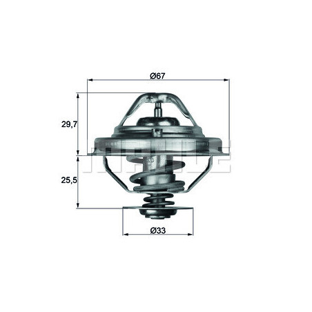 Thermostat d'eau MAHLE