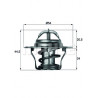 Thermostat d'eau MAHLE
