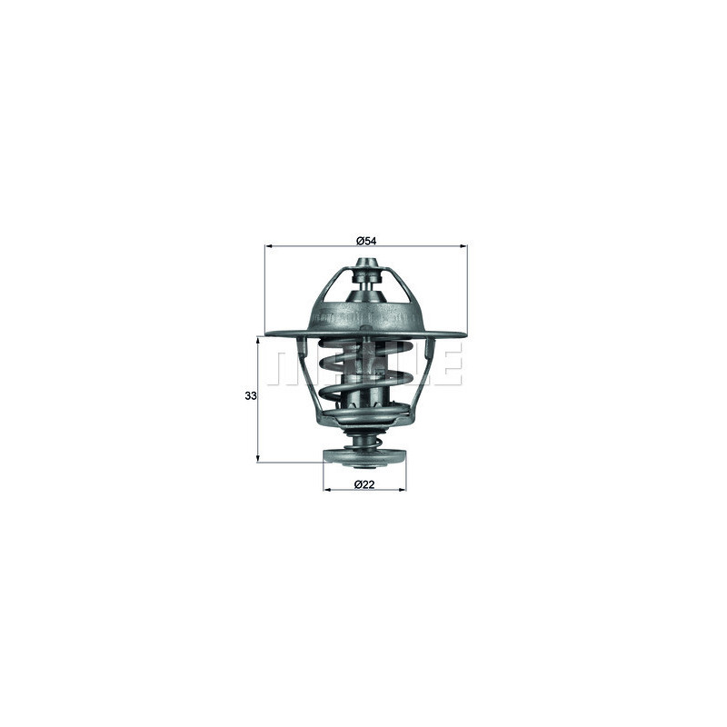 Thermostat d'eau MAHLE
