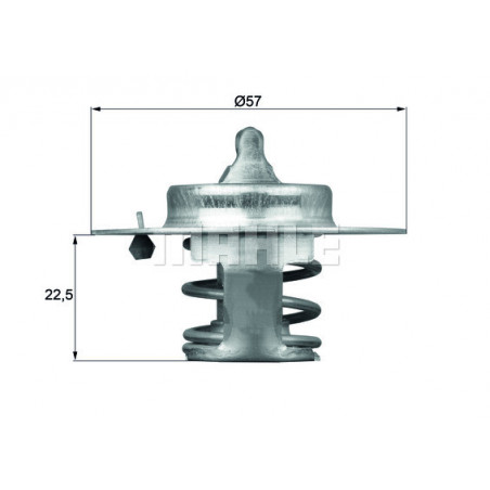Thermostat d'eau MAHLE