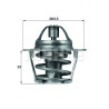 Thermostat d'eau MAHLE