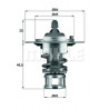 Thermostat d'eau MAHLE
