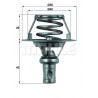 Thermostat d'eau MAHLE