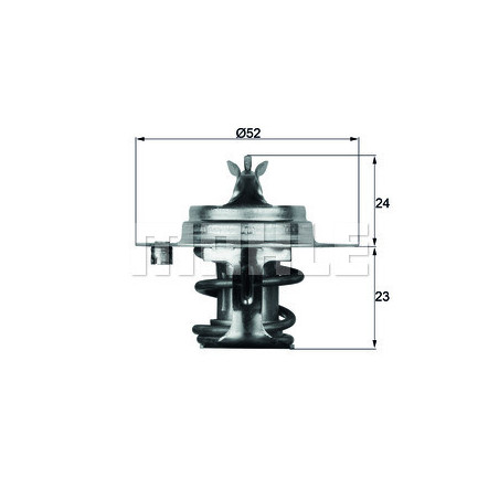 Thermostat d'eau MAHLE