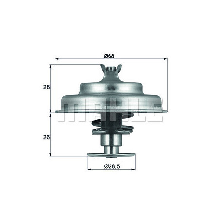 Thermostat d'eau MAHLE