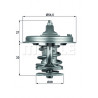 Thermostat d'eau MAHLE