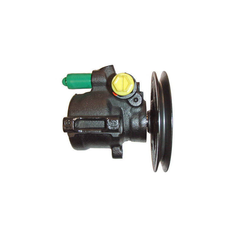 Pompe hydraulique (direction) LIZARTE