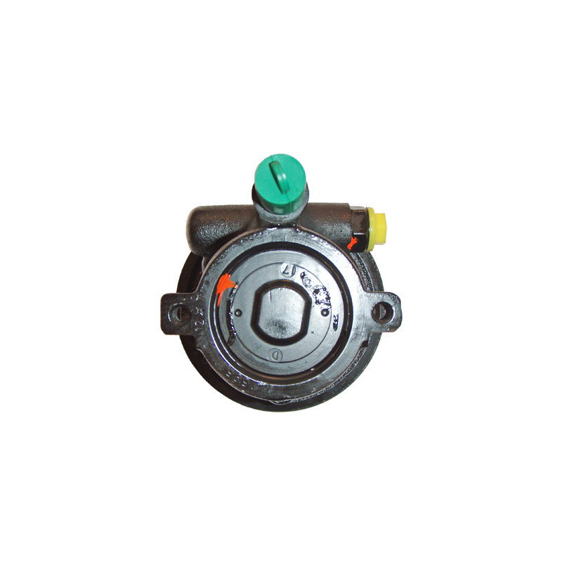 Pompe hydraulique (direction) LIZARTE