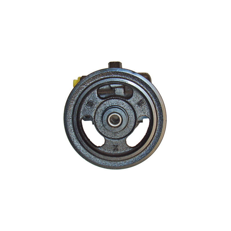 Pompe hydraulique (direction) LIZARTE
