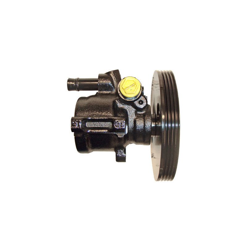 Pompe hydraulique (direction) LIZARTE