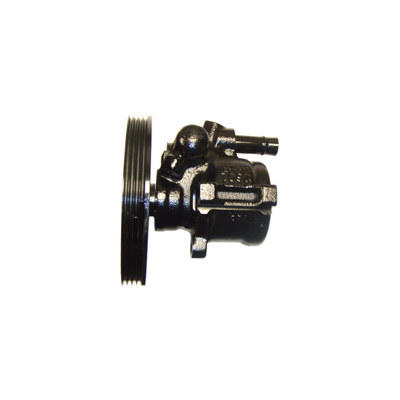 Pompe hydraulique (direction) LIZARTE