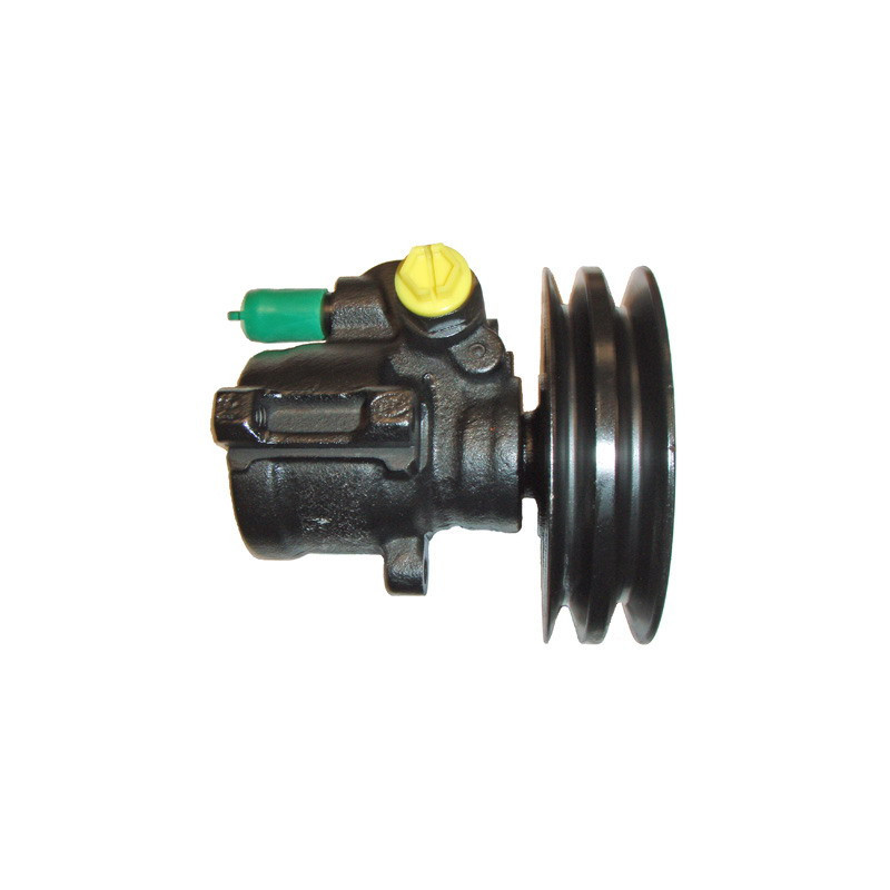 Pompe hydraulique (direction) LIZARTE