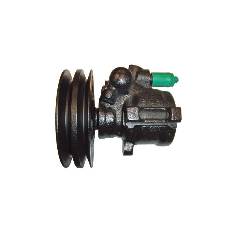 Pompe hydraulique (direction) LIZARTE