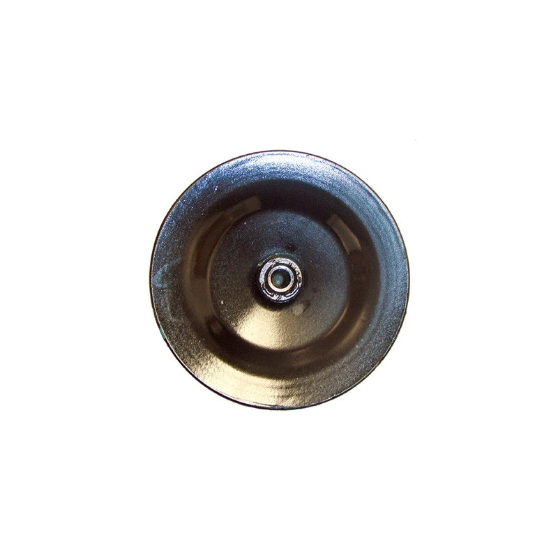 Pompe hydraulique (direction) LIZARTE