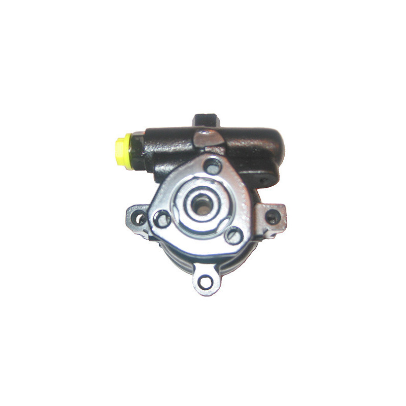 Pompe hydraulique (direction) LIZARTE