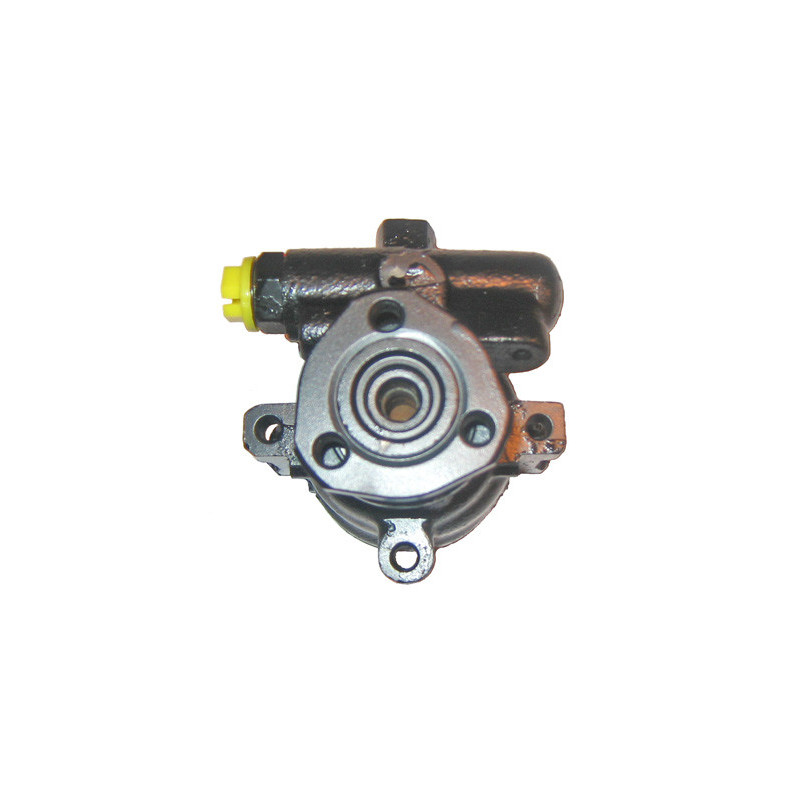 Pompe hydraulique (direction) LIZARTE