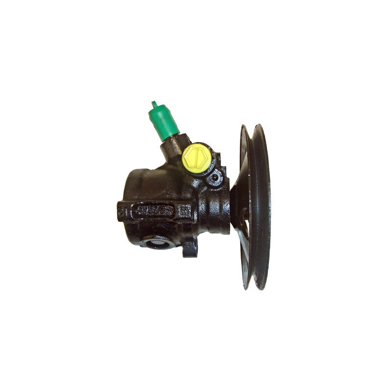 Pompe hydraulique (direction) LIZARTE