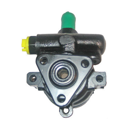 Pompe hydraulique (direction) LIZARTE