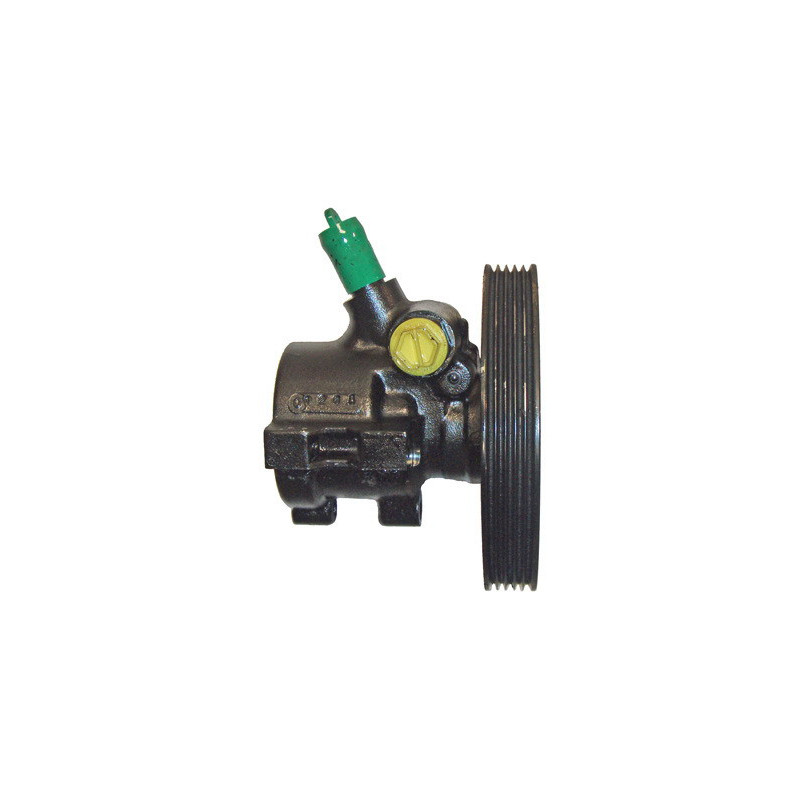 Pompe hydraulique (direction) LIZARTE