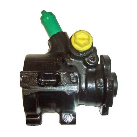 Pompe hydraulique (direction) LIZARTE