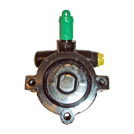 Pompe hydraulique (direction) LIZARTE