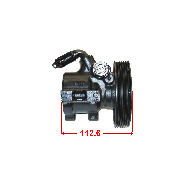 Pompe hydraulique (direction) LIZARTE