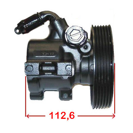 Pompe hydraulique (direction) LIZARTE