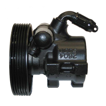 Pompe hydraulique (direction) LIZARTE