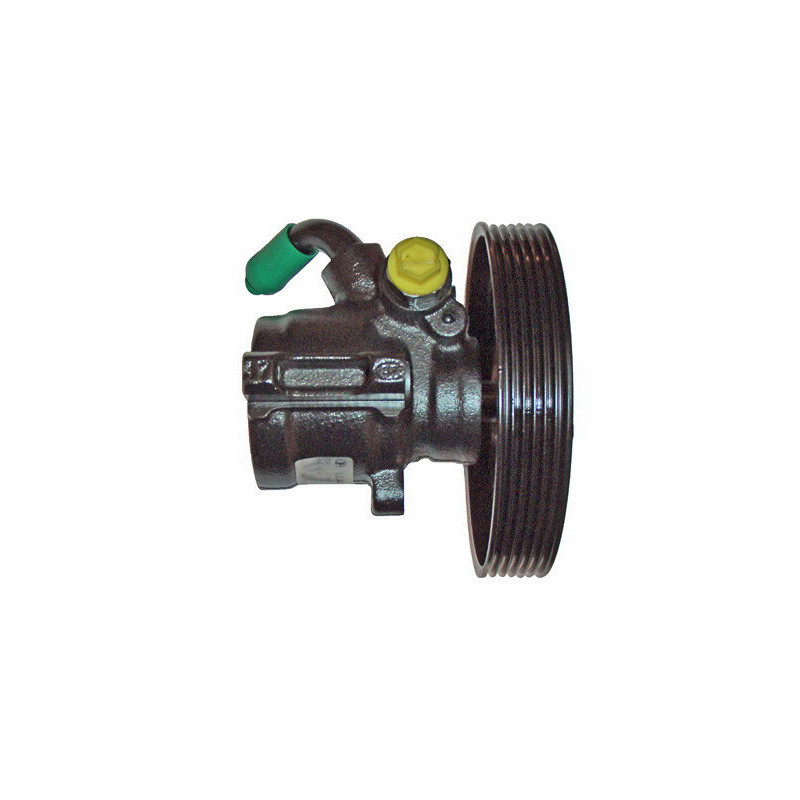 Pompe hydraulique (direction) LIZARTE