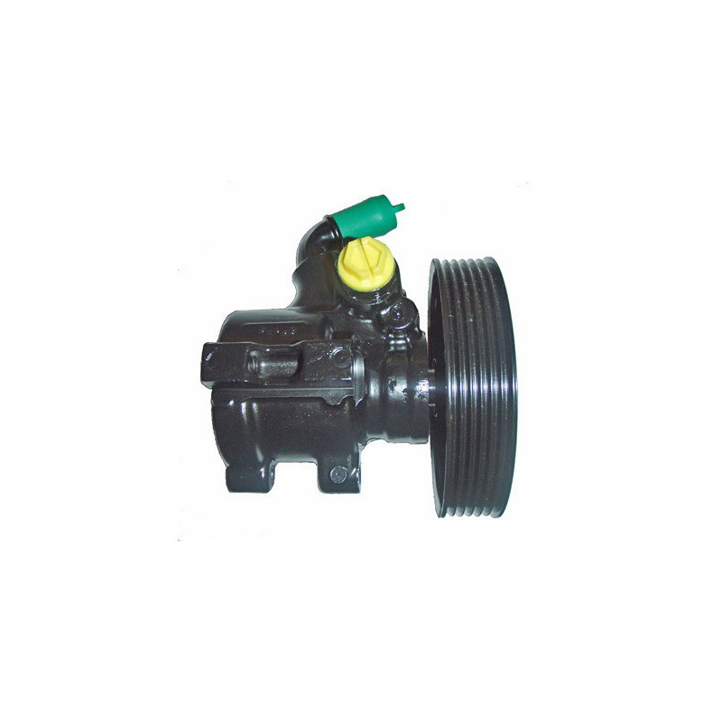 Pompe hydraulique (direction) LIZARTE