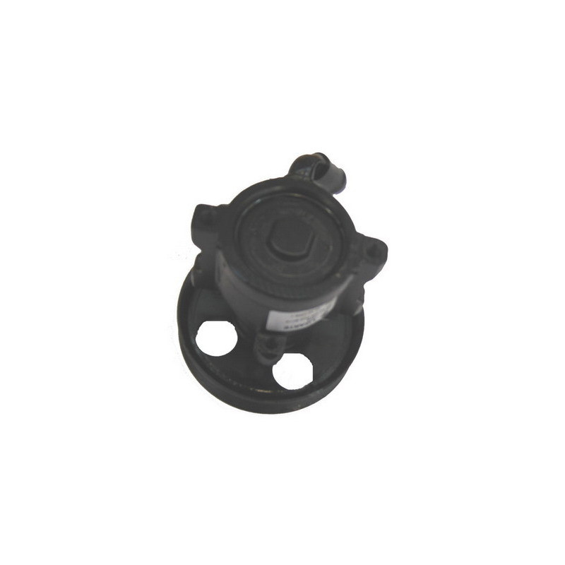 Pompe hydraulique (direction) LIZARTE