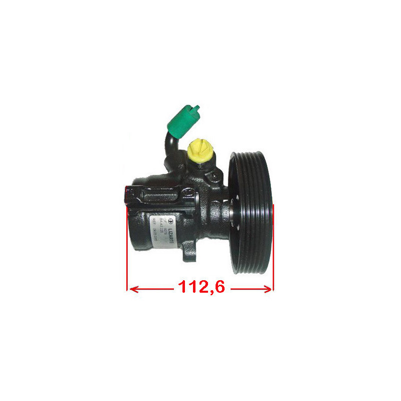 Pompe hydraulique (direction) LIZARTE