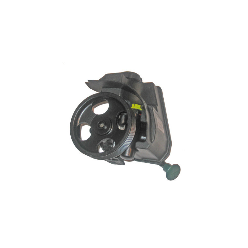 Pompe hydraulique (direction) LIZARTE